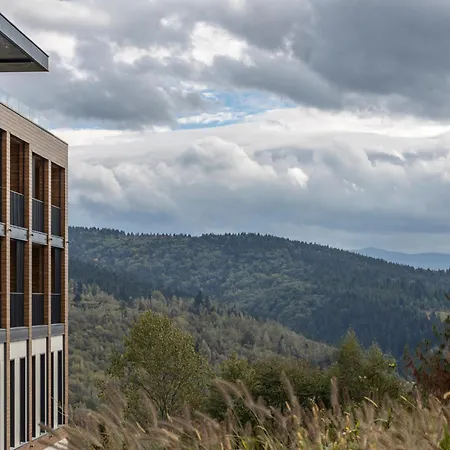 Panorama Skhidnytsya Skhidnytsia