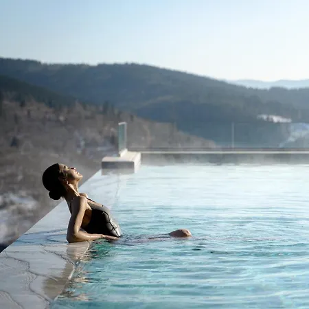 Hotel Panorama Skhidnytsya 5*