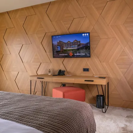 Panorama Skhidnytsya