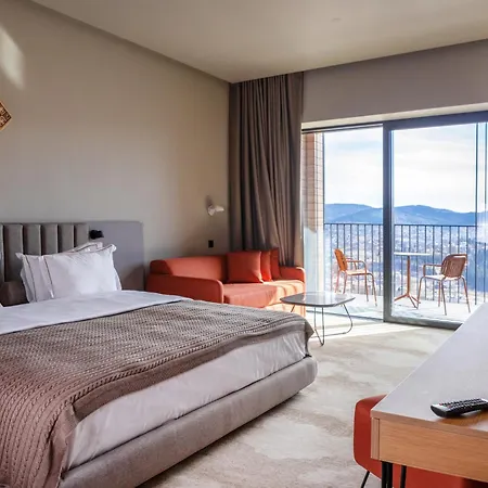 Panorama Skhidnytsya 5*