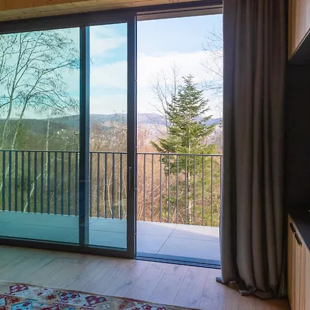 Panorama Skhidnytsya 5* Skhidnytsia